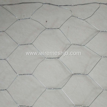 Hot dipped Galvanized Chicken Wire Mesh